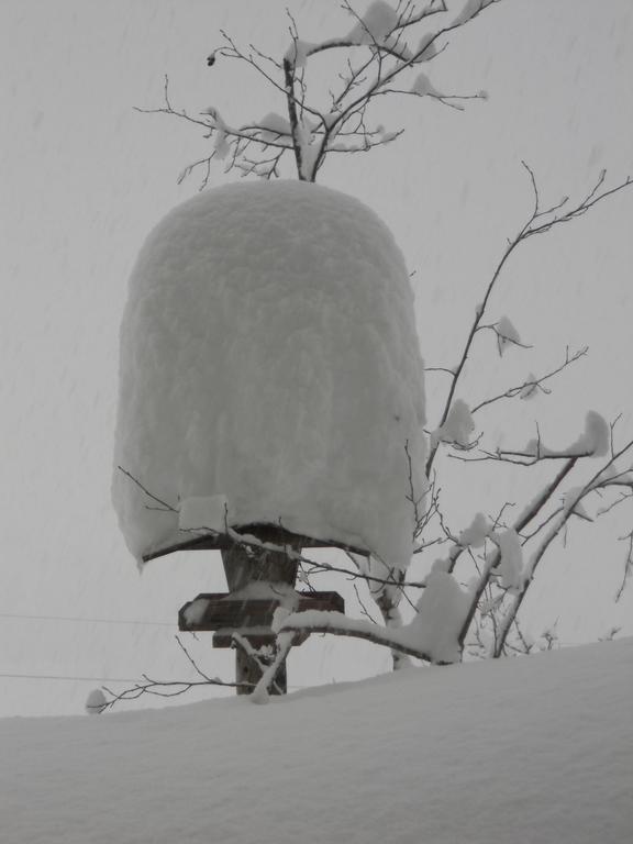 Vorderhof Apartman Sankt Martin am Tennengebirge Kültér fotó