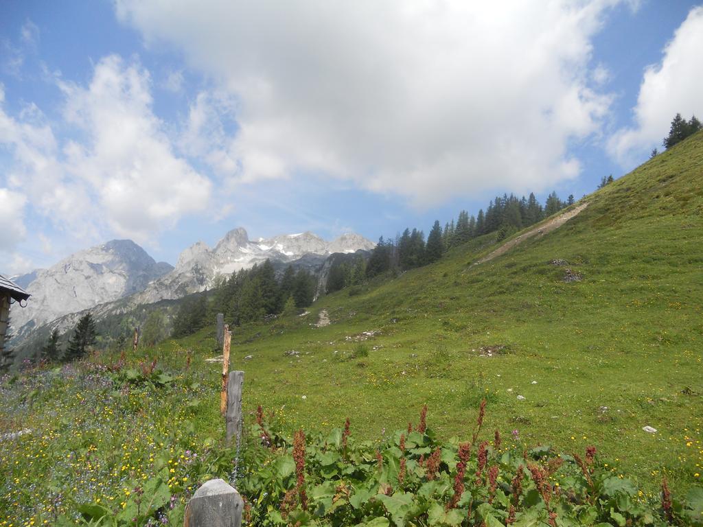 Vorderhof Apartman Sankt Martin am Tennengebirge Kültér fotó