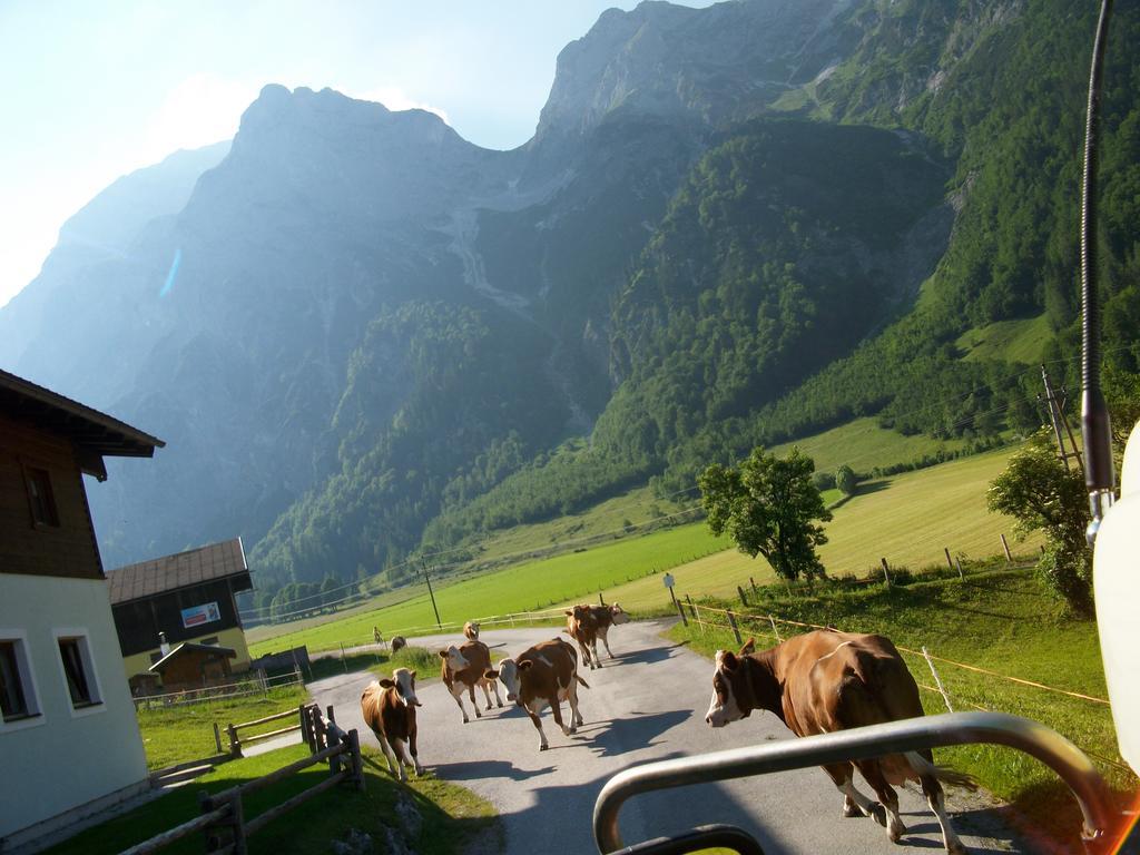 Vorderhof Apartman Sankt Martin am Tennengebirge Kültér fotó